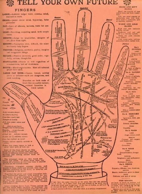 Palmistry Chart Aracariaguides Palm Reading Palmistry Palm Reading