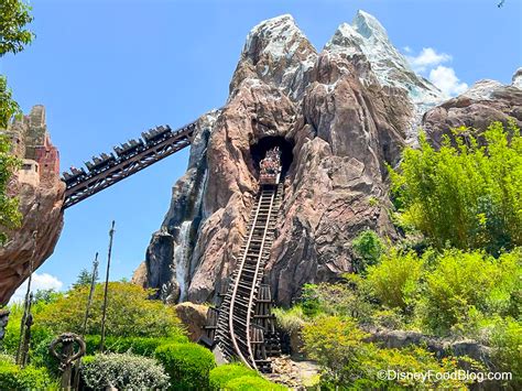 How Fast Is Expedition Everest Disney By Mark