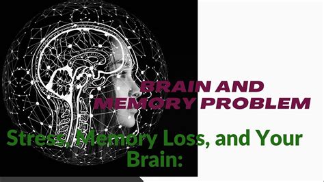 Stress Memory Loss And Your Brain How To Improve Your Recallsecrets