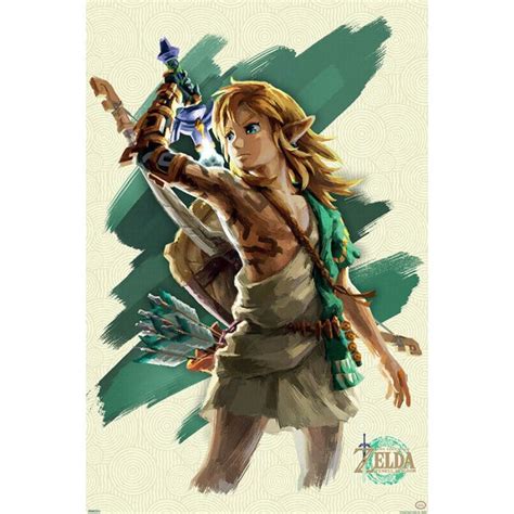 Zelda Tears Of Kingdom Link Poster Emporium