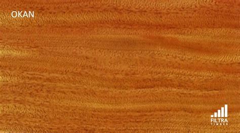 Philippine Wood Species Rosewood Mahogany Beech Yakal Teak Oak