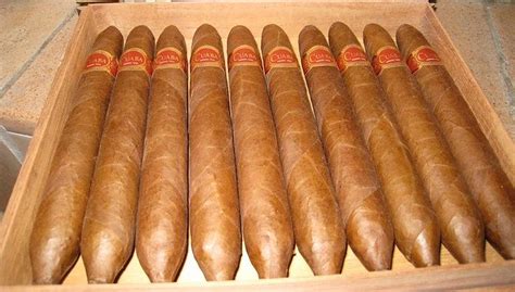 Cuban Cigars Are Back A Go To Guide To Buying The Best Of The Best