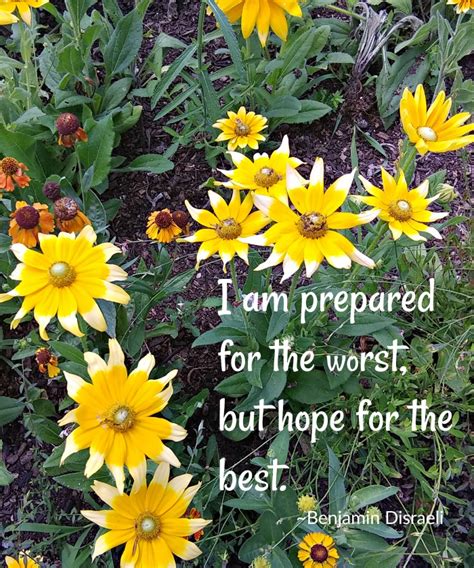 Inspirational Quotes About Hope Motivation Sayings With Flower Photos