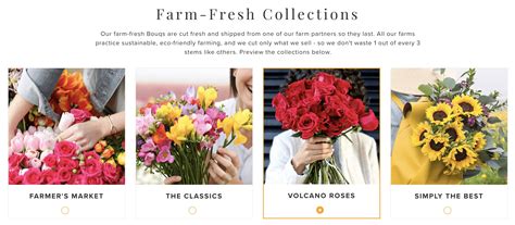 Simply perfect flowers free shipping codes and apply at simplyperfectflowers.com checkout page to get discounts. The Bouqs February 2018 Review & Coupon - hello subscription