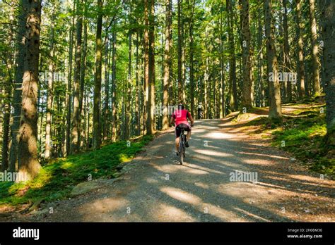The Cyclist Rides Along A Forest Road Stock Photo Alamy