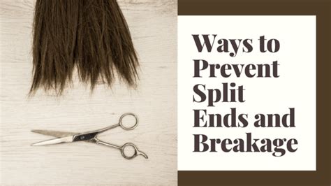 Ways To Prevent Split Ends And Breakage Thrive