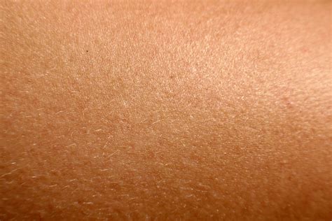 Real Human Skin Texture