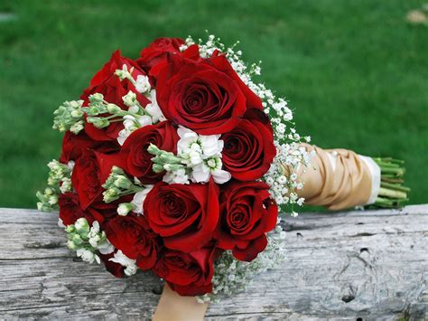 Red freedom rose, white stock, and babys' breath in 2021 | Bridal bouquet, Red roses and babys 