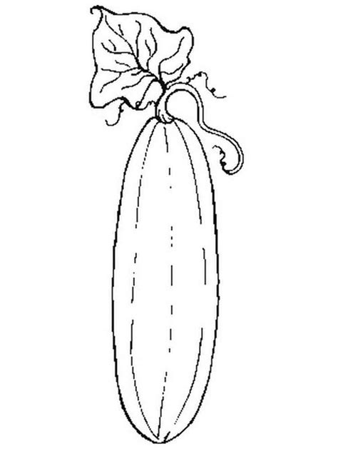 For boys and girls, kids and adults, teenagers and toddlers, preschoolers and older kids at school. Squash coloring pages. Download and print Squash coloring ...