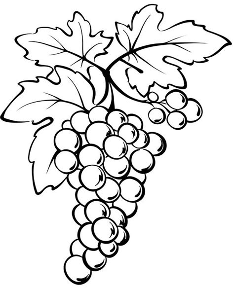 Grapes Coloring Page Free Download
