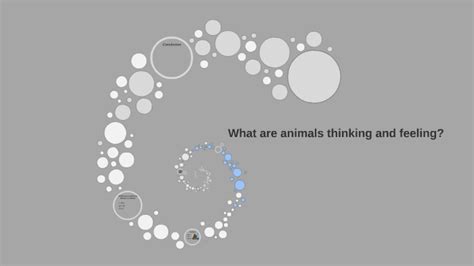What Are Animals Thinking And Feeling By 子暄 邱