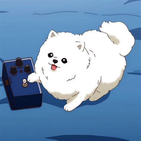 Givendaily The Cutest Doggo ʃƪ Aesthetic Anime Otaku Anime