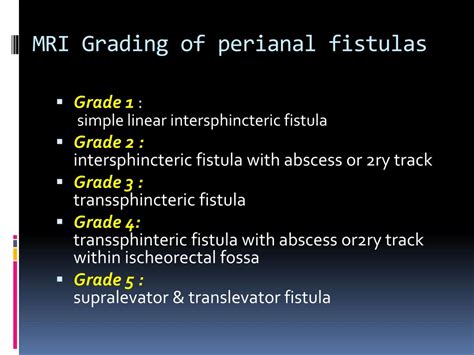 Perianal Fistula Classification