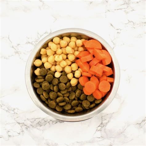 Homemade Dog Food Topper Recipes Home And Garden Reference