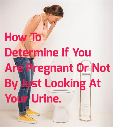 How To Determine If You Are Pregnant Or Not By Just Looking At Your Urine Awaycande