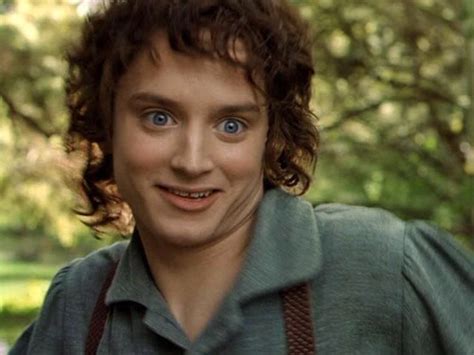 309 Best Frodo Baggins Images On Pinterest