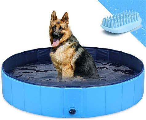 The 8 Best Dog Swimming Pools Of 2021