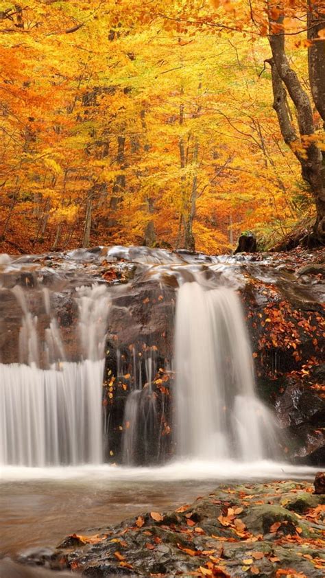 Autumn Wood Leaf Fall Falls Cascades Autumn Waterfall Hd Phone