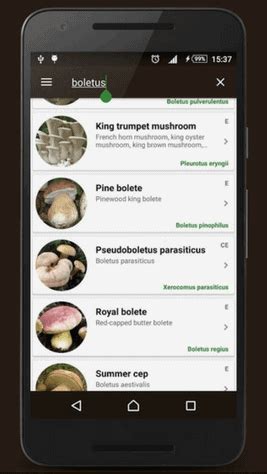 The mushrooms (fungi) are a common, but outdated classification, the third great kingdom of eukaryotic organisms, in addition to the multicellular animals (metazoa) and plants (plantae). The Best Apps For Mushroom Identification (And Why a Book ...