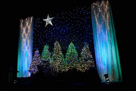 1000 Images About Christmas Backdrops On Pinterest Trees Christmas