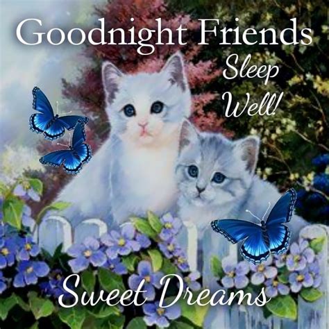 Sleep Well Friends Good Night Pictures Photos And Images For