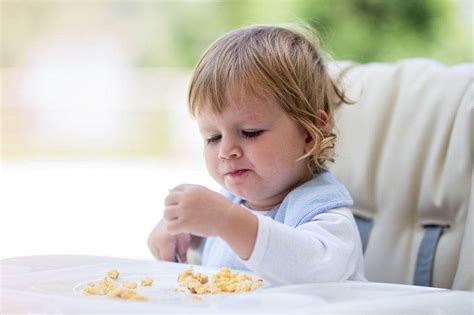 Check spelling or type a new query. When Can Babies Eat Cheerios, The Best Food Of All Time ...