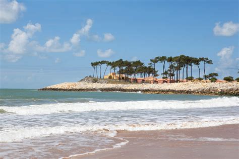 تدمر / tadmur) est une ville antique de syrie, située à proximité d'une oasis du désert de syrie. La Palmyre Atlantique - France | all inclusive | Club Med