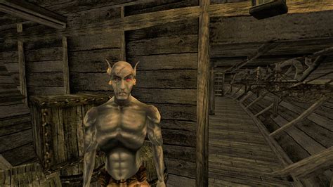 The Elder Scrolls 3 Morrowind Is More Dnd Than Videogame
