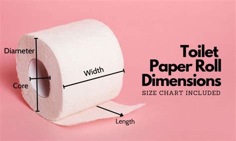 Toilet Paper Roll Dimensions Size Chart Included Laacib