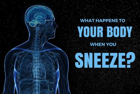 Science And Fun Facts On Sneezing Zigya For The Curious Learner