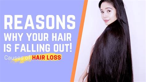 11 reasons why your hair is falling out and causes of hair loss beautyklove youtube