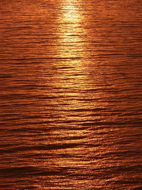 Free Images Light Sunset Sunlight Texture Floor Line Reflection