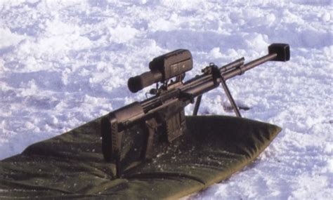 Qbu 10 Sniper Rifle