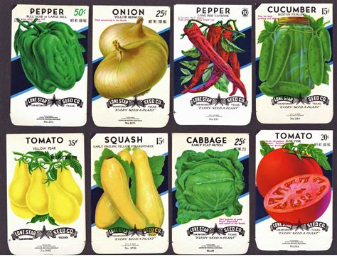 A Collection Of 15 Vintage Vegetable Seed Packets Thelabelman