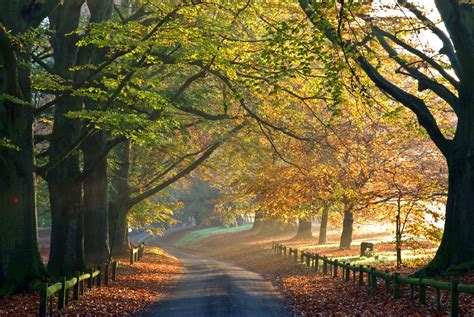 A Beautiful Autumn Walk In Mote Park Maidstone Kent Mote Park