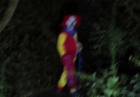 Creepy Clowns Sighted By Carolina Wood Spark Conspiracy