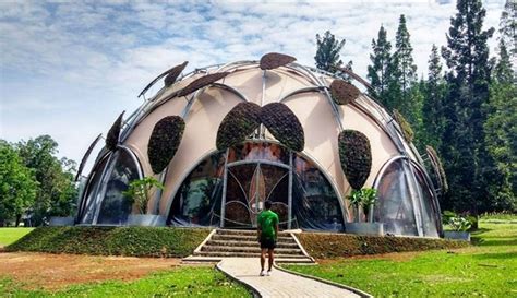 Kebun ini akan dijadikan salah satu objek wisata unggulan kota. Serunya Wisata Liburan Ke Kebun Raya Bogor - Blog Hotel Bobobox Indonesia