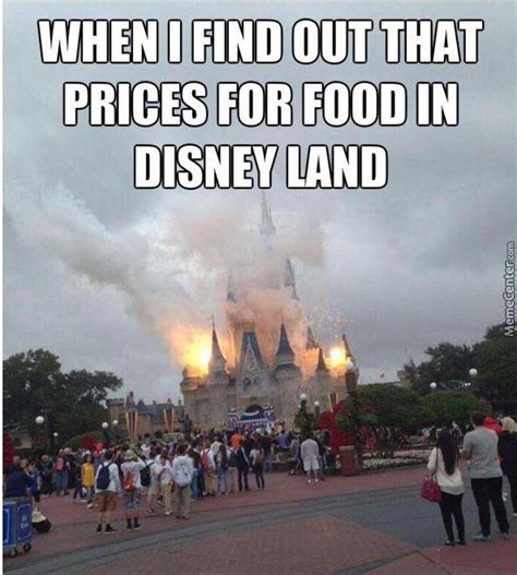 25 Funny Memes That Pretty Much Sum Up Any Trip To Disney