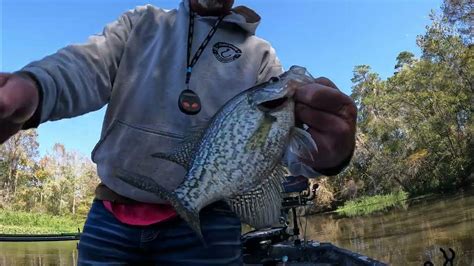 Crappie Fishing The Grass On Lake Talquin Youtube