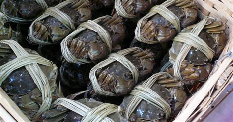 Hungry China Vending Machine Sells Large Hairy Crabs