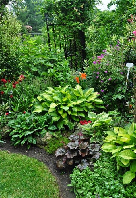 996 Best Shade Garden Plants Images On Pinterest Plants Shade Garden