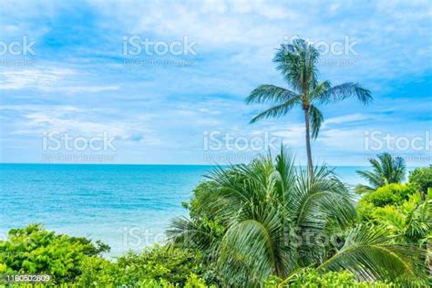 Beautiful Outdoor Tropical Beach Sea Around Samui Island With Coconut