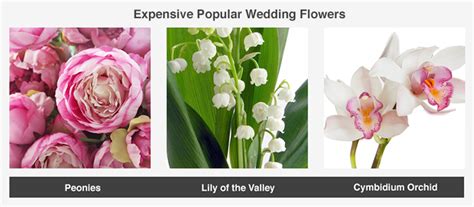Our data shows the average cost of wedding flowers from real couples' celebrations, and the price might surprise you. Average Cost of Wedding Flowers - ValuePenguin