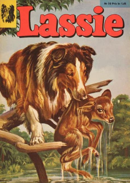 Lassie 26 Issue