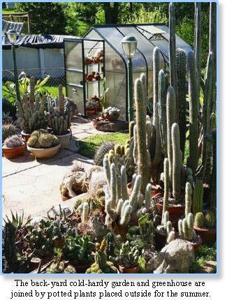 British cactus & succulent society: 2018 - Gateway to the Southwest - Henry Shaw Cactus and ...