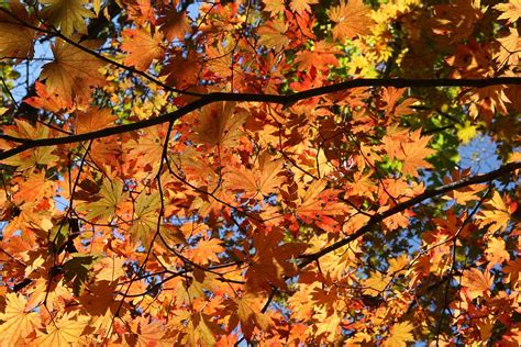 3840x2160px Free Download Hd Wallpaper Mt Seoraksan Fall Foliage