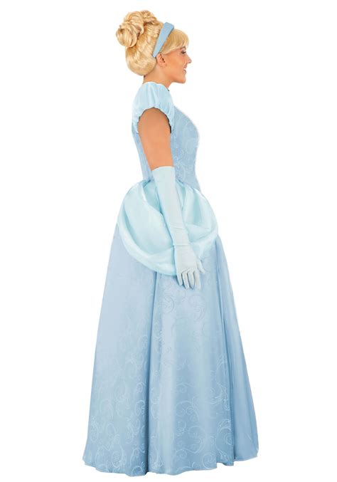 Womens Premium Cinderella Costume