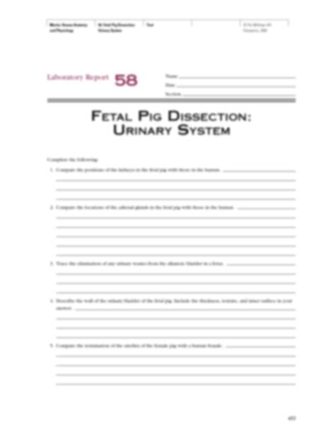 Solution Fetal Pig Dissectionurinary System Laboratory Exercise And