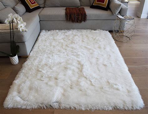 Maybe you would like to learn more about one of these? Cozy Shag Shag Rug Contemporary Living Room Modern Bedroom ...