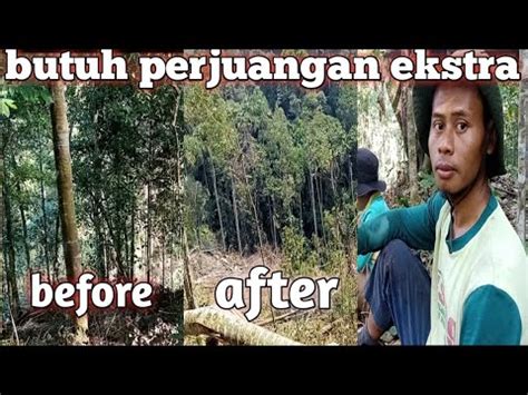 Merintis Tanah Harapan Di UPT Rano YouTube